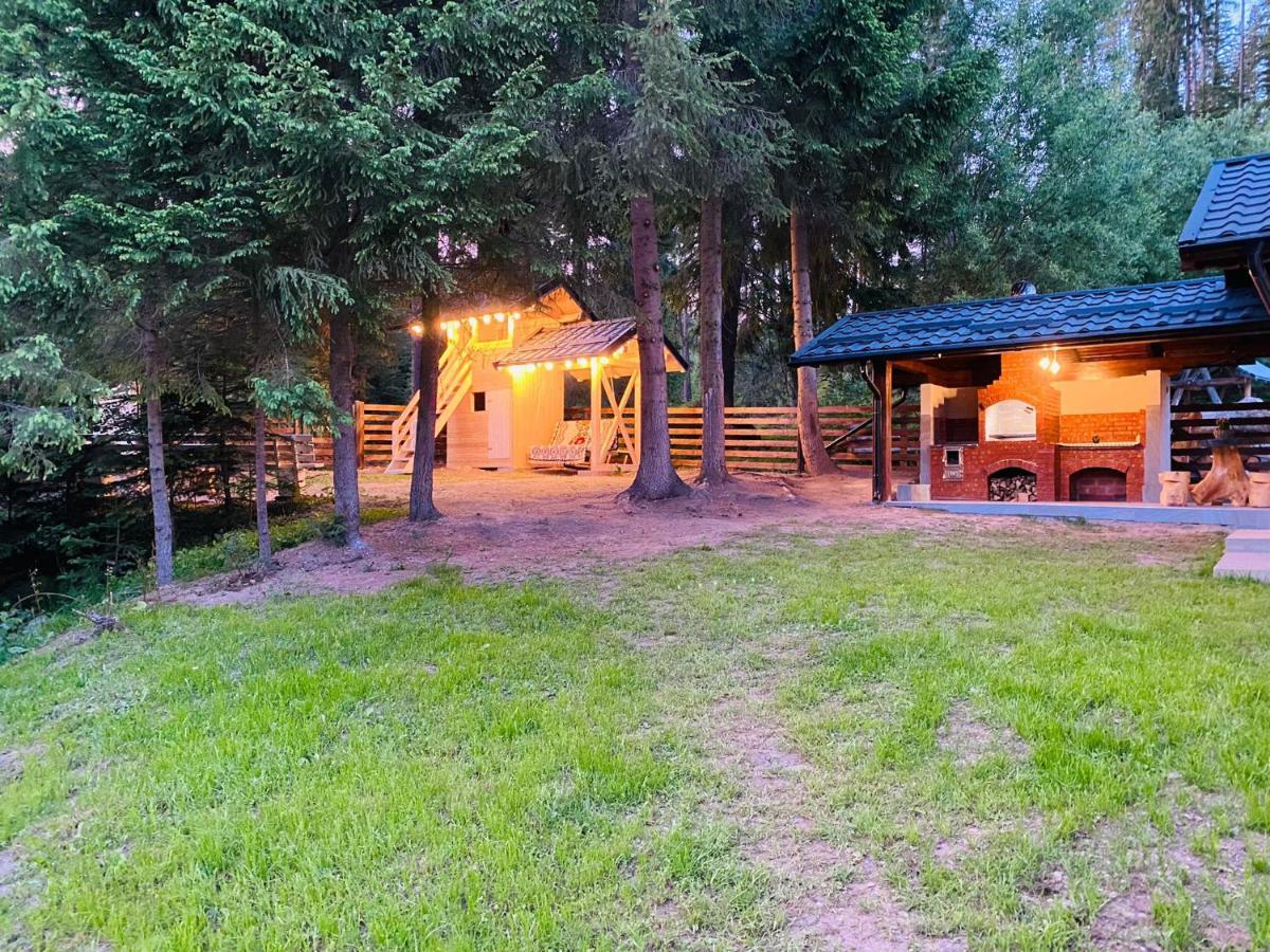 Roua Bucovinei Villa Sadova  Luaran gambar