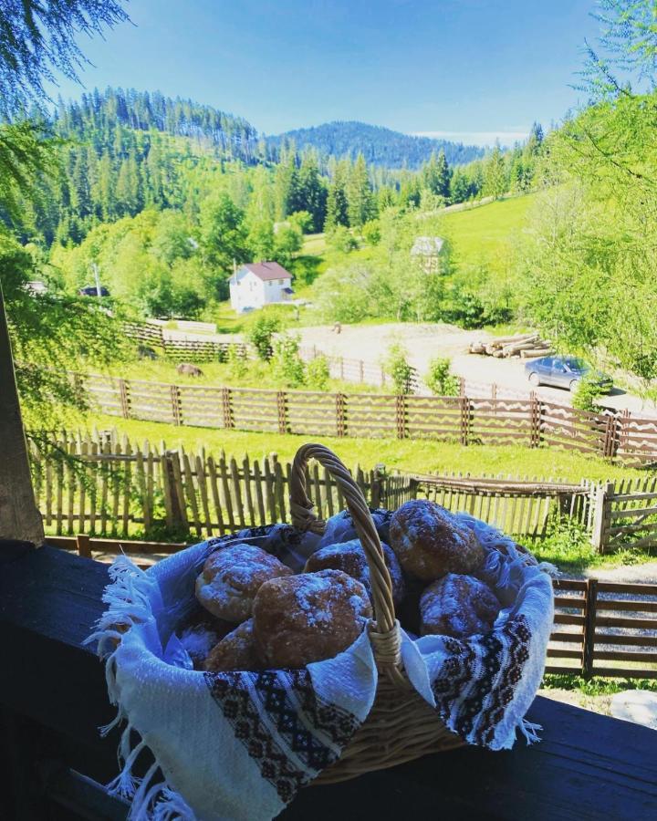 Roua Bucovinei Villa Sadova  Luaran gambar